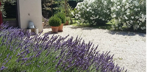 entree et jardin maison d'hôte